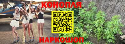 сатива Волгодонск