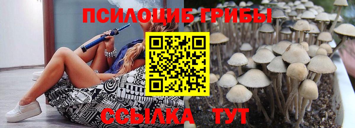 Галлюциногенные грибы Magic Shrooms  Галлюциногенные грибы прущие грибы  Чехов  Вход с VPN 